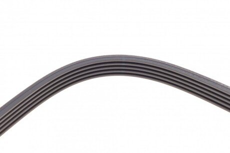 Приводной ремень генератора hutchinson 1850K5