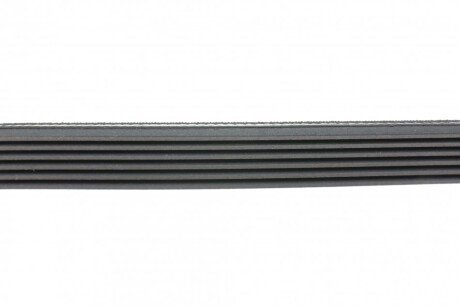 Приводной ремень генератора hutchinson 1954K6