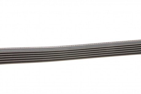 Приводной ремень генератора hutchinson 2442K6