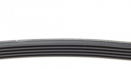 Привідний ремінь генератора hutchinson 748SK5