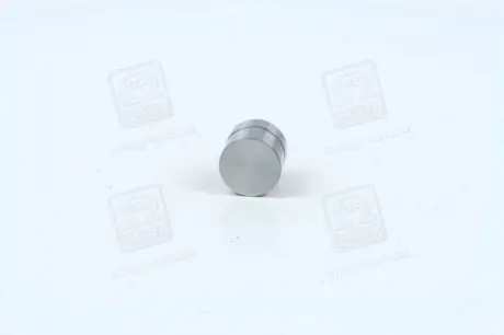 Гідрокомпенсатор (штовхач клапана) Hyundai/KIA 2223137100