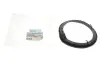 Проставка под пружину переднюю нижняя HYUNDAI Tucson 04-09;KIA Sportage 04-08 Hyundai/KIA 546332E000 (фото 2)
