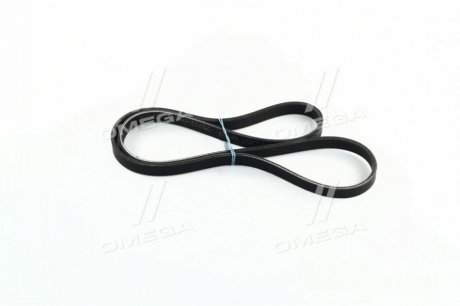 Привідний ремінь генератора hyundai/KIA 2521204011 на Киа Пиканто