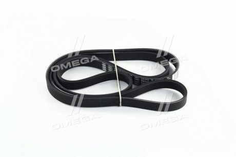 Приводной ремень генератора hyundai/KIA 252122A121 на Киа Рио 2