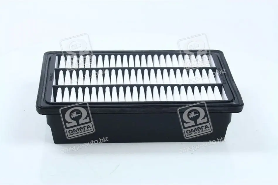 Повітряний фільтр Hyundai/KIA 28113-2B000 (фото 1)
