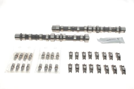 Розподільчий вал (к-т) ina 428003030