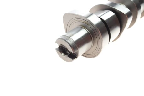 Розподільчий вал (к-т) ina 428003930