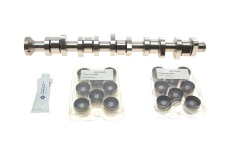 Розподільчий вал (к-т) ina 428004030 на Ауди А4 б7