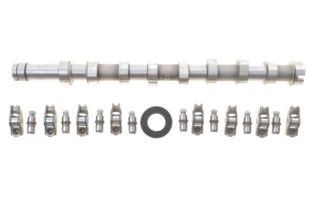 Комплект валу розподільчого з рокерами та компенсаторами FORD/PSA 1.5/1.6 TDCi DV6 ina 428005630