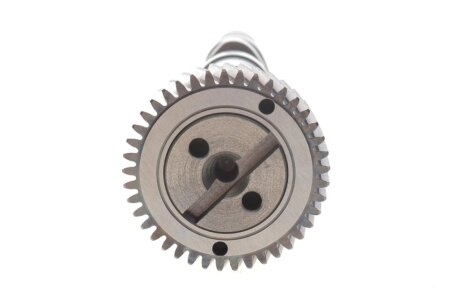 Розподільчий вал ina 428015810