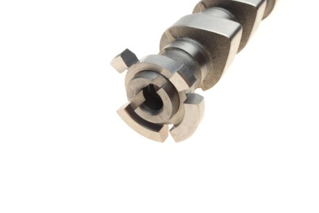 Розподільчий вал ina 428017610