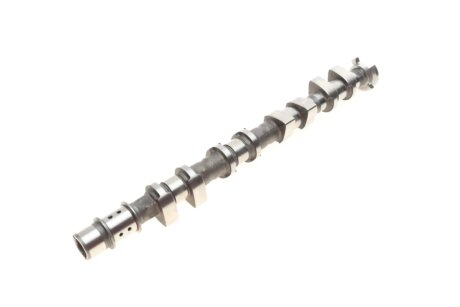 Розподільчий вал ina 428017810