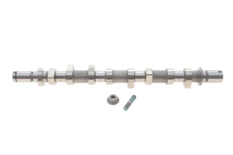 Розподільчий вал ina 428025210 на Рено Сандеро степвей 2