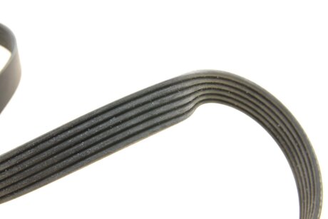 Комплект (ремінь+ролики) ina 529008410