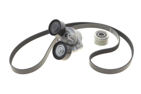 Комплект (ремінь+ролики) ina 529020620 на Бмв 2 Series