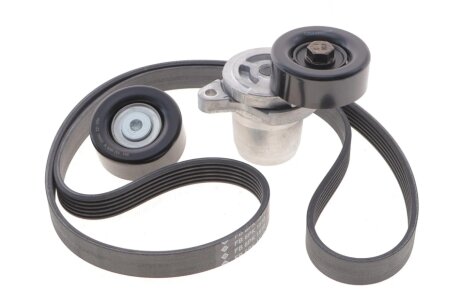 Комплект (ремінь+ролики) ina 529021510