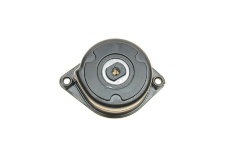 Комплект ременя генератора ina 529025310