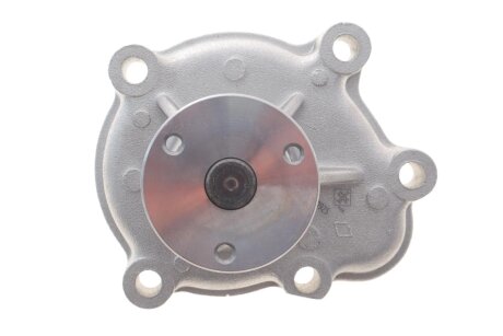 Водяний насос+ комплект поліклинових ременів ina 529031230