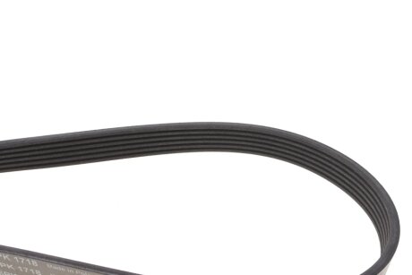 Водяний насос+ комплект поліклинових ременів ina 529031230