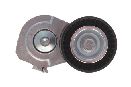 Водяний насос+ комплект поліклинових ременів ina 529031230