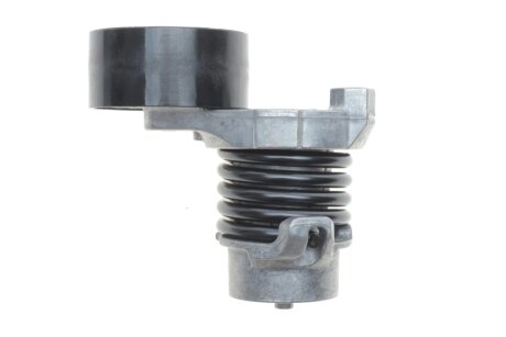 Комплект доріжкових пасків ina 529031610