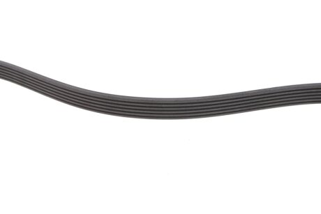 Комплект (ремінь+ролики) ina 529033910