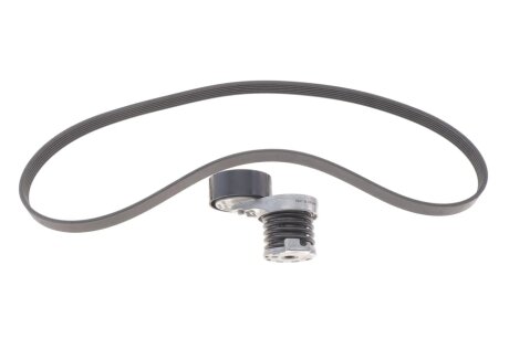 Комплект (ремінь+ролики) ina 529033910 на Дачия Сандеро