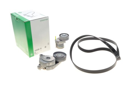 Комплект (ремінь+ролики) ina 529034210 на Фольксваген Гольф 5