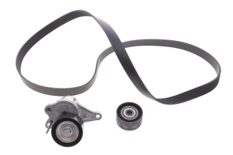 Комплект (ремінь+ролики) ina 529035510