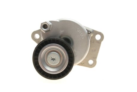 Комплект (ремінь+ролики) ina 529036010