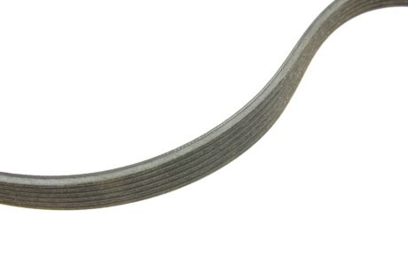 Комплект (ремінь+ролики) ina 529036010