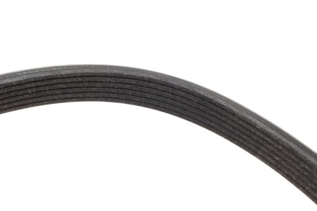 Комплект (ремінь+ролики) ina 529036910