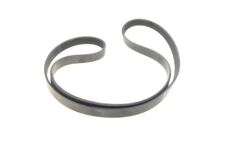 Роликовий модуль натягувача ременя (ролик, ремінь) ina 529041210