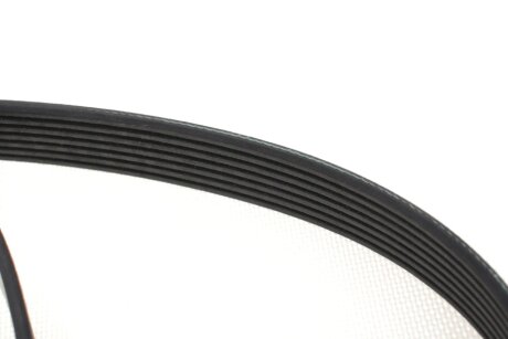 Комплект (ремінь+ролики) ina 529042310