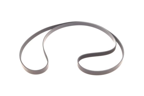 Роликовий модуль натягувача ременя (ролик, ремінь) ina 529043010