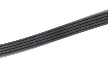 Комплект поліклинових ременів (Ви-во) ina 529051110