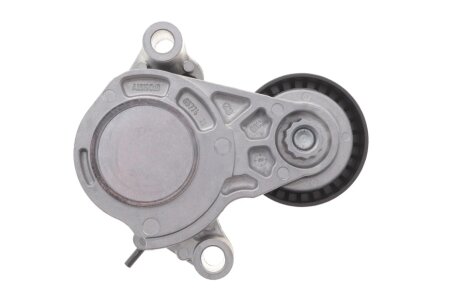 Комплект (ремінь+ролики) ina 529051610