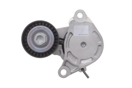 Комплект (ремінь+ролики) ina 529051610