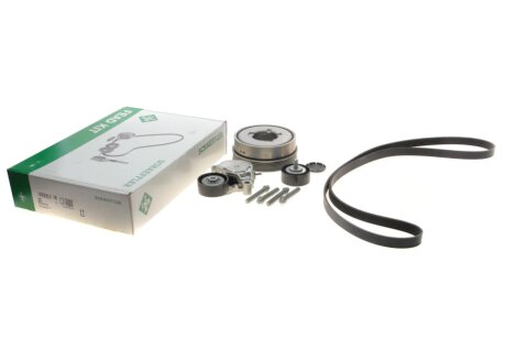 Комплект (ремінь+ролики) ina 529051620 на MINI MINI