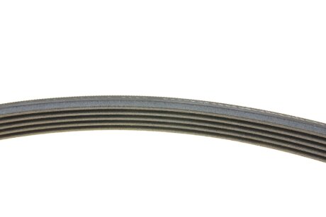 Комплект ременя генератора ina 529054310