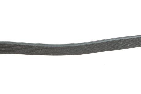 Комплект поліклинових ременів ina 529056810