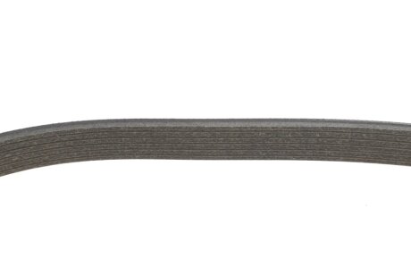 Комплект поліклинових ременів ina 529056910