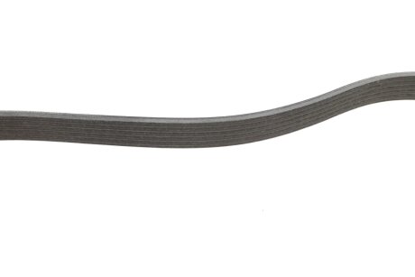 Комплект поліклинових ременів ina 529057310