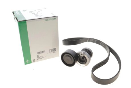 Комплект ременя генератора ina 529059010 на Рено Сценик 4