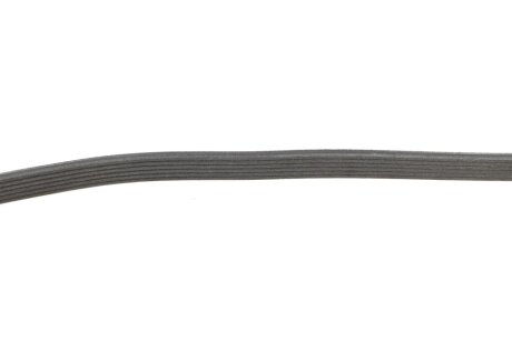 Комплект поліклинових ременів ina 529059110