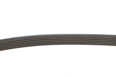 Комплект поліклинових ременів ina 529059310