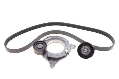 Комплект поліклинових ременів ina 529059510