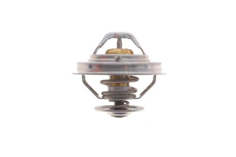 Комплект ГРМ з водяним насосом ina 530015830