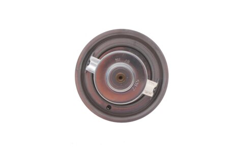 Комплект ГРМ з водяним насосом ina 530015830