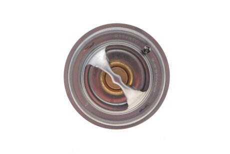 Комплект ГРМ з водяним насосом ina 530015830